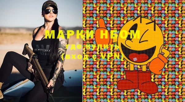 винт Гусь-Хрустальный