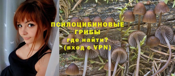 крисы Гусиноозёрск