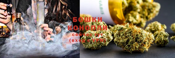 крисы Гусиноозёрск