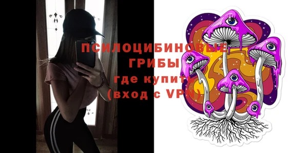 хмурый Гусев