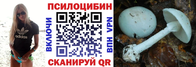 Купить где  Пучеж  Псилоцибиновые грибы Psilocybine cubensis 